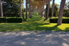 20190630_104428-e1561928452793