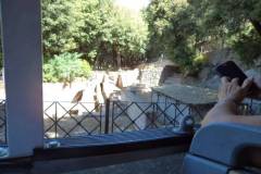 DSC01080