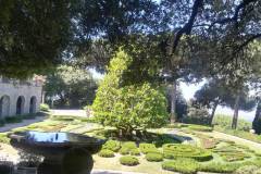 IMG-20190630-WA0023