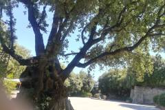 IMG-20190630-WA0024