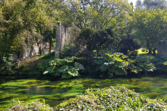 20180923_121016