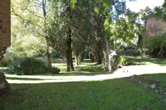 DSC00860