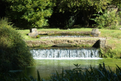 DSC00867