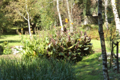 DSC00870