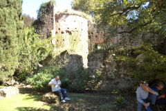 DSC00875
