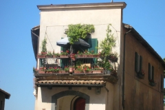 DSCN8791