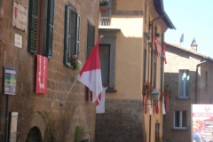DSCN8792