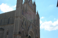 DSCN8806