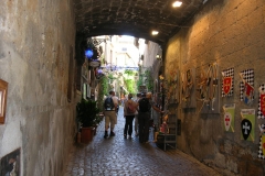 DSCN8807
