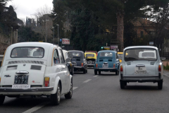 aRaduno-fiat-500-Rocca-Priora-13