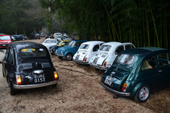 aRaduno-fiat-500-Rocca-Priora-40