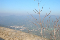 DSCN8698-1