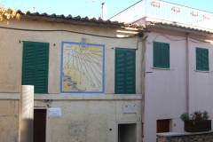 DSCN8707