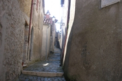 DSCN8713-1