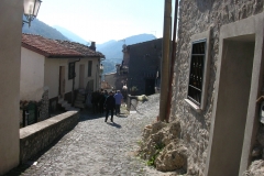DSCN8719