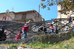 DSCN8729