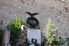 DSCN8735